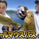 原西＆岡村の桧原湖で【スモールマウスバス釣り】②