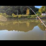 景色が綺麗でハゼも沢山釣れる浜名湖秘境の地【浜名湖釣り】🎣