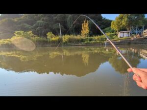 景色が綺麗でハゼも沢山釣れる浜名湖秘境の地【浜名湖釣り】🎣