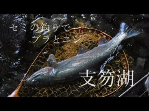 【支笏湖】セミルアーの釣りを愉しむ