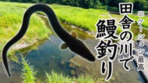 【ウナギ釣り】田舎すぎて家の近所で良型ウナギが釣れてしまう【ぶっ込み釣り】