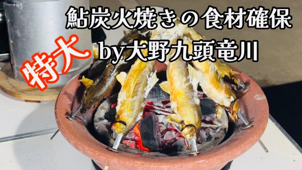 【鮎釣り】大野市九頭竜川の特大あゆを炭火で焼きます🔥