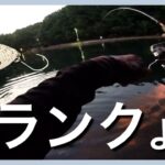 暑い夕方でもめっちゃ釣れたクランク【エリアトラウト】【管理釣り場】【裾野フィッシングパーク】【すそのフィッシングパーク】