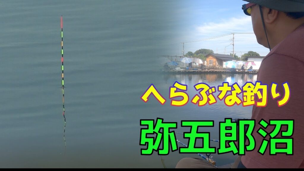 浮子が止まらない！弥五郎沼・浅ダナ宙釣りで好調‼️