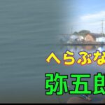 浮子が止まらない！弥五郎沼・浅ダナ宙釣りで好調‼️