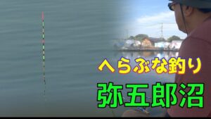 浮子が止まらない！弥五郎沼・浅ダナ宙釣りで好調‼️