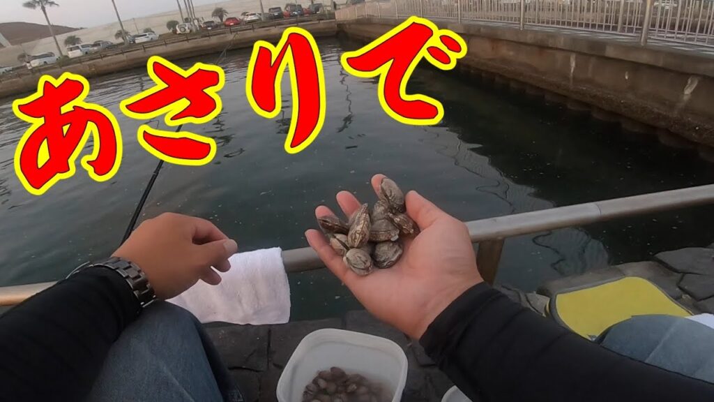 【あさりでかぶせ釣り】釣り/海釣り/かぶせ釣り/浜名湖/表浜名湖/新居海釣り公園/クロダイ/ヘダイ/イシダイ/コブダイ/サンバソウ/グレ/メジナ