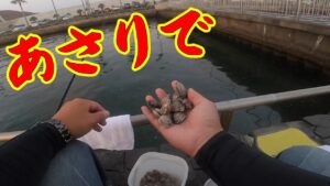 【あさりでかぶせ釣り】釣り/海釣り/かぶせ釣り/浜名湖/表浜名湖/新居海釣り公園/クロダイ/ヘダイ/イシダイ/コブダイ/サンバソウ/グレ/メジナ