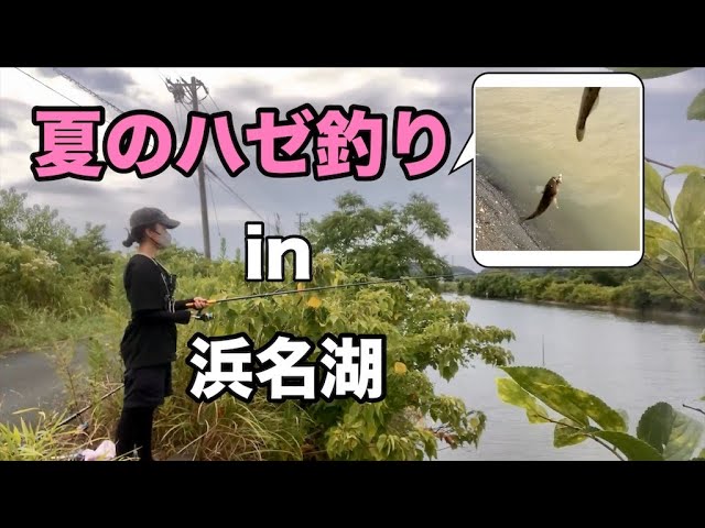 【ハゼ釣り】夏の浜名湖でハゼ釣り