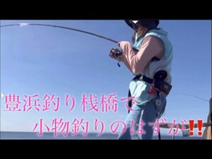 豊浜釣り桟橋で高級魚が!そして最大級の引きが‼️