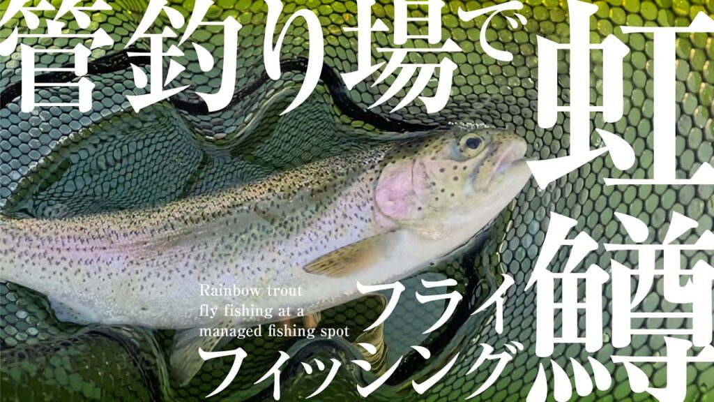 【小一時間釣行】管理釣り場で虹鱒釣り！