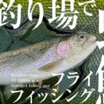【小一時間釣行】管理釣り場で虹鱒釣り！