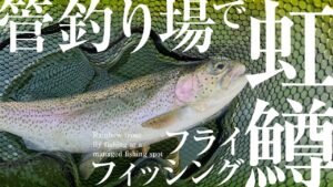 【小一時間釣行】管理釣り場で虹鱒釣り!