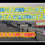 浜名湖釣り　今どんな魚が釣れてますか？インタビュー９月前半