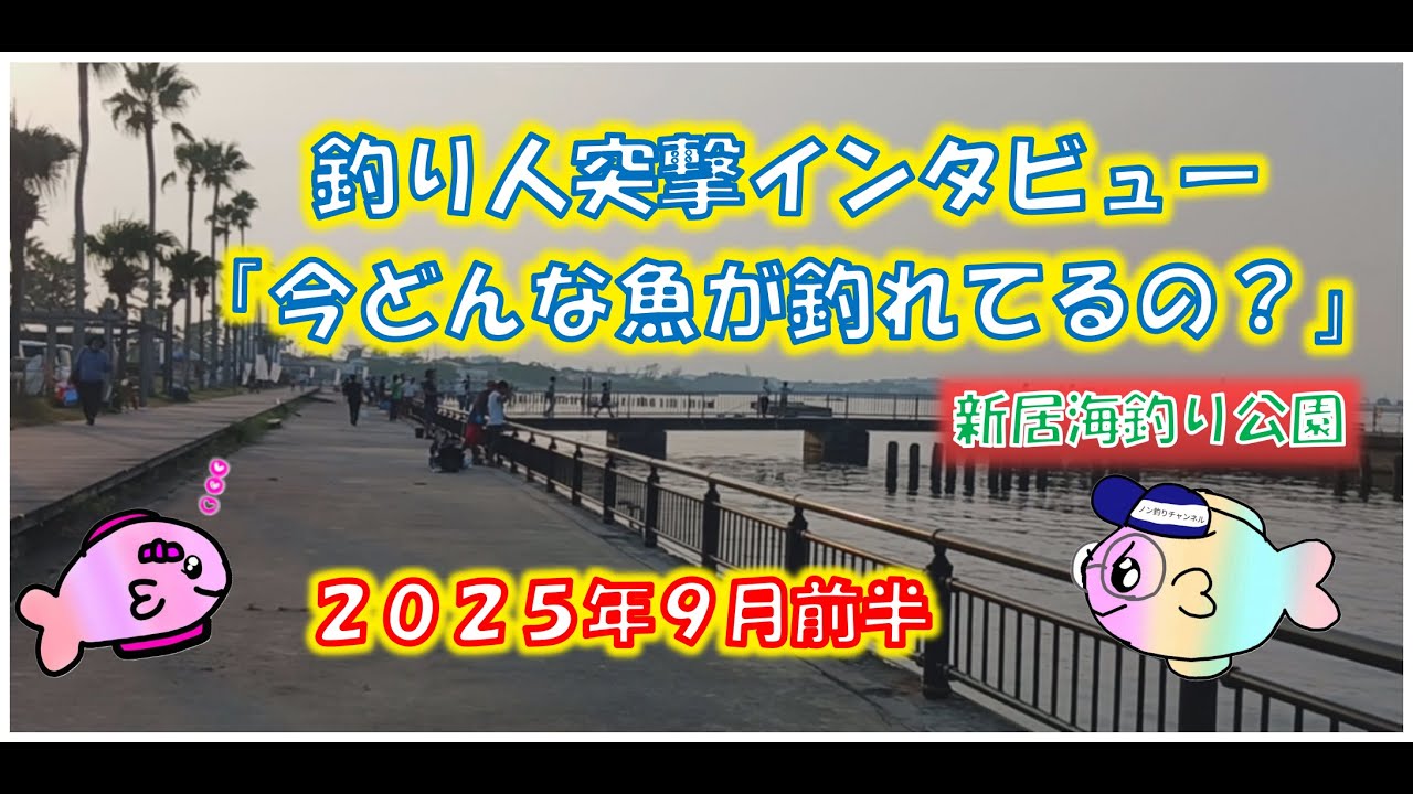 浜名湖釣り　今どんな魚が釣れてますか？インタビュー９月前半