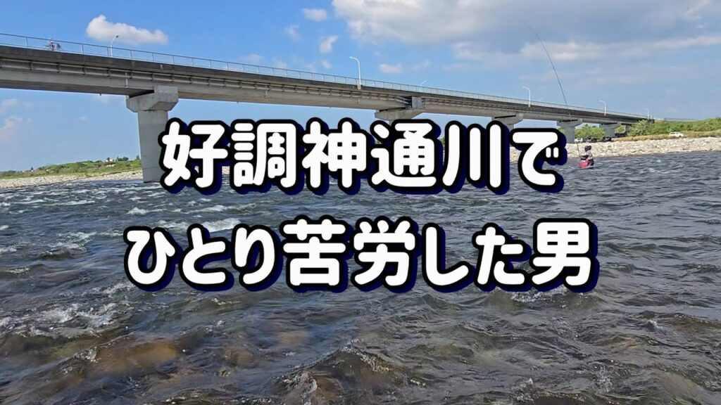 【好調 神通川でひとり苦労しました・・・】真夏の富山県 神通川　鮎釣り