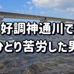 【好調 神通川でひとり苦労しました・・・】真夏の富山県 神通川　鮎釣り