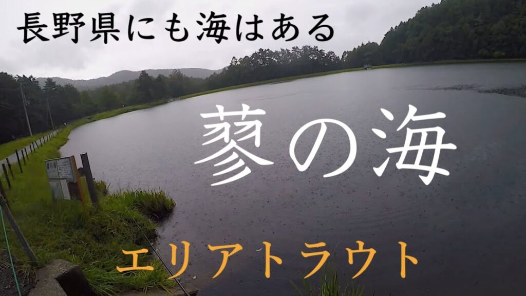 長野のビーチで魚釣り【蓼の海】 #エリアトラウト #管理釣り場 #フライフィッシング