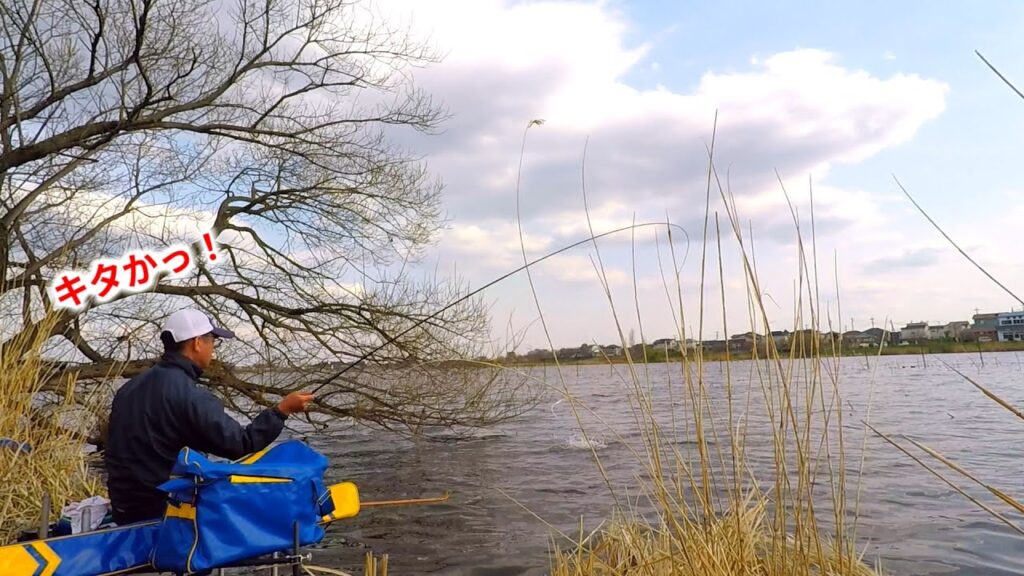 【城沼】やーまん先生と巨ベラ狙いに挑む！