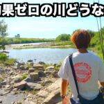 【大和川】釣れてる人見た事ない大阪の川でバス釣り楽しんできた。