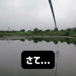 【管理釣り場】へらぶな釣りに行ってきた！！
