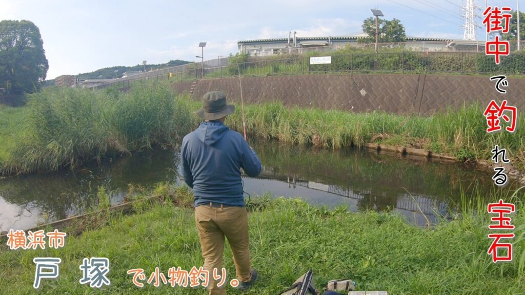 少年！これがオ〇〇〇だよ～！街中で釣れる宝石のような魚♪    横浜市 戸塚で小物釣り。