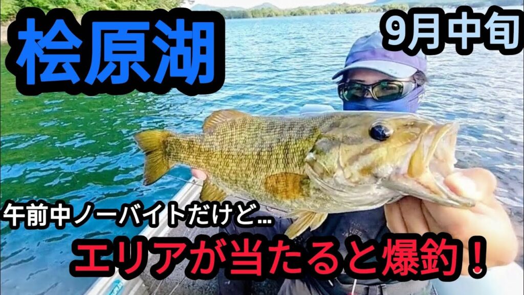 【桧原湖バス釣り】午前中ノーバイトだけど午後から爆釣！【９月中旬】