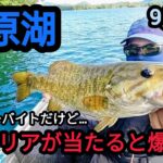 【桧原湖バス釣り】午前中ノーバイトだけど午後から爆釣！【９月中旬】