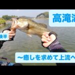 夏の高滝湖でライブスコープ＆サイトフィッシング！【バス釣り】【ローランス】【イーグルアイ】