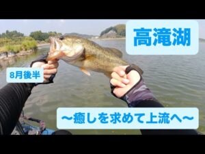 夏の高滝湖でライブスコープ＆サイトフィッシング！【バス釣り】【ローランス】【イーグルアイ】