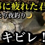 身近な大物！🌙夜の川釣りに行こう！【チヌ釣り　黒鯛　キビレ】