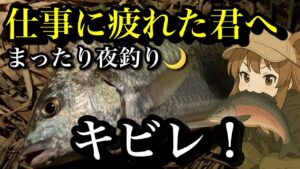 身近な大物！🌙夜の川釣りに行こう！【チヌ釣り　黒鯛　キビレ】