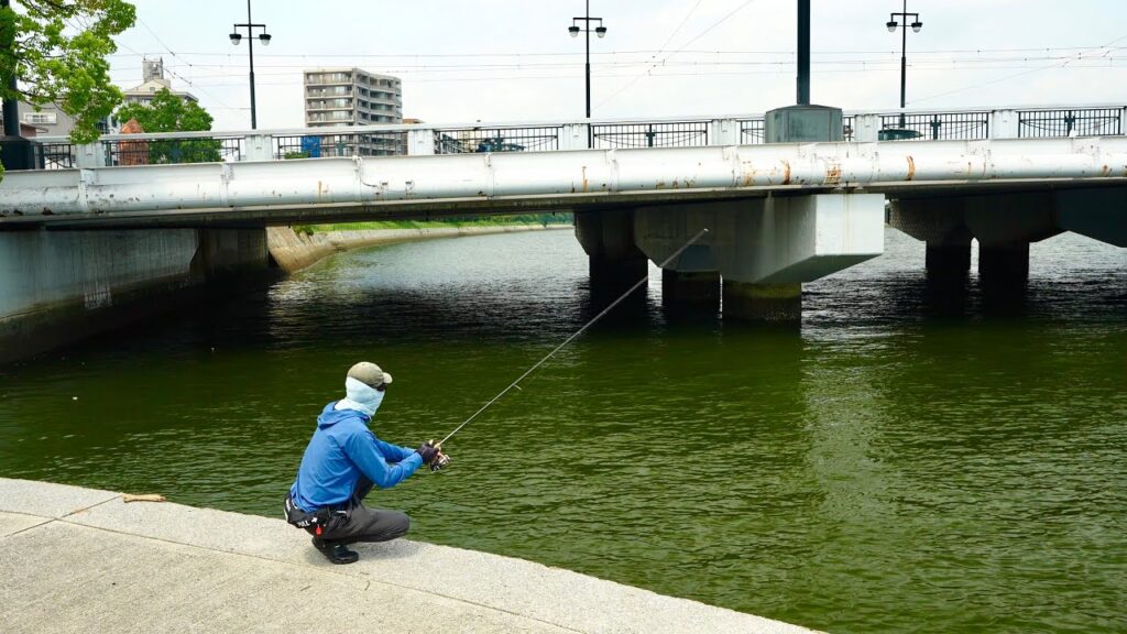 【大阪→広島遠征】魚が湧いてるとニュースになった川を調査したら・・