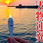 ウキが海に消えていく瞬間がたまらない！