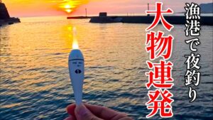 ウキが海に消えていく瞬間がたまらない！