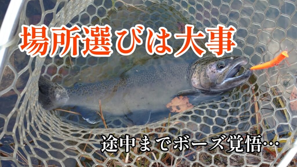 【管理釣り場】フィッシングレイクたかみや　移動して難局を打破・・・　　