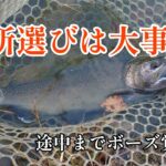 【管理釣り場】フィッシングレイクたかみや　移動して難局を打破・・・　　