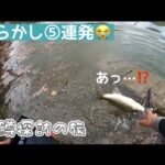 やらかし⑤連発😭/丹沢湖#バス釣り