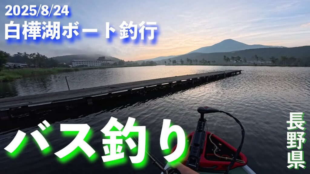【白樺湖】白樺リゾートでバス釣ったら人気者になった　| バス釣り | 長野県 | ブラックバス |