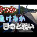 近藤沼でブレイキングダウン【バス釣り】