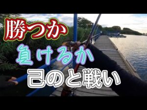 近藤沼でブレイキングダウン【バス釣り】