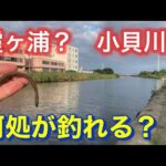 【霞ヶ浦バス釣り】 いつになれば秋が来るのでしょうか？