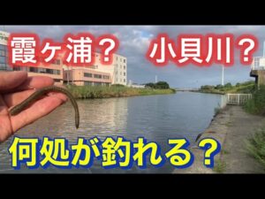 【霞ヶ浦バス釣り】 いつになれば秋が来るのでしょうか?
