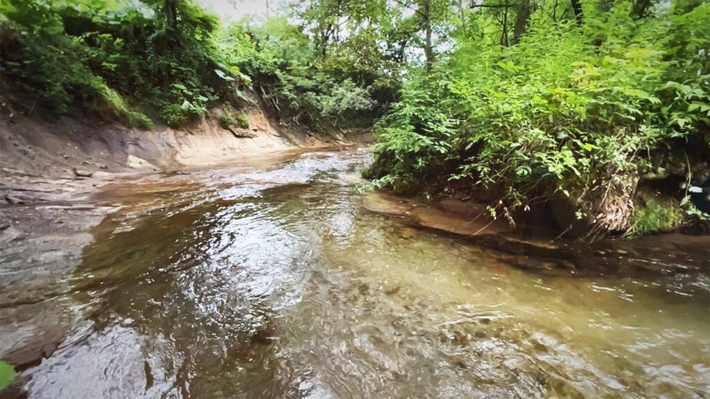侵食で岩盤剥き出しの川に魚はいるのか？【北海道渓流釣り】
