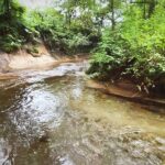 侵食で岩盤剥き出しの川に魚はいるのか？【北海道渓流釣り】