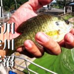 【田川、五行川、大谷川、上野沼、ルアー、ウキ釣り】【利根川＆荒川水系、バス釣り、コイ釣り、雷魚釣り、ナマズ釣り、フィシング、埼玉釣り、関東釣り、千葉釣り、茨城釣り、筑西、桜川、結城エリア】