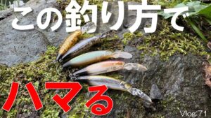 【エリアトラウト】悶絶タイムが嘘のよう…。浮上系ミノーのこの釣り方がハマった！【小菅トラウトガーデン】