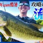 【バス釣り】攻略のカギは“流れ”：灼熱の遠賀川を攻略【釣り時季】