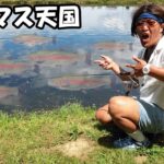 日本一デカマスの魚影が濃い管理釣り場【ユーランド清水川】