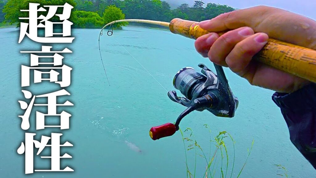 大雨の中、巨大魚ひしめく管釣りの聖地で釣りをすると...【エリアトラウト】【管理釣り場】【鹿島槍ガーデン】